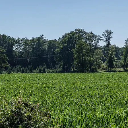 Schürer * Meckenbeuren