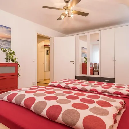 Schuerer Meckenbeuren