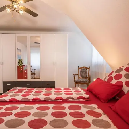 Schürer Meckenbeuren